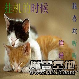 木頭ren掛機中。。。